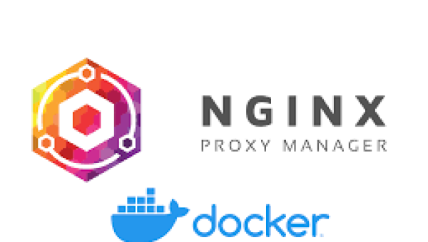 nginx proxy manager als docker Container